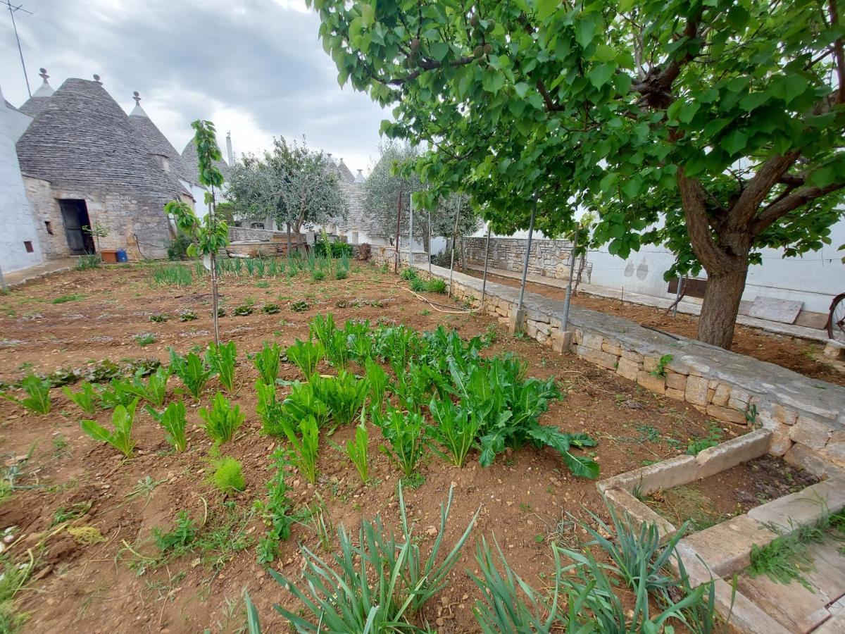 Villa Il Trullo Di Giada E Mattia Alberobello Exterior foto