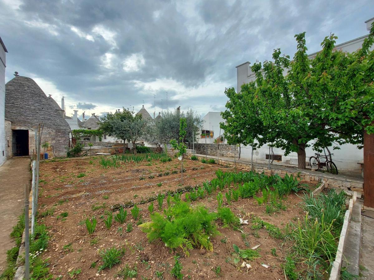 Villa Il Trullo Di Giada E Mattia Alberobello Exterior foto