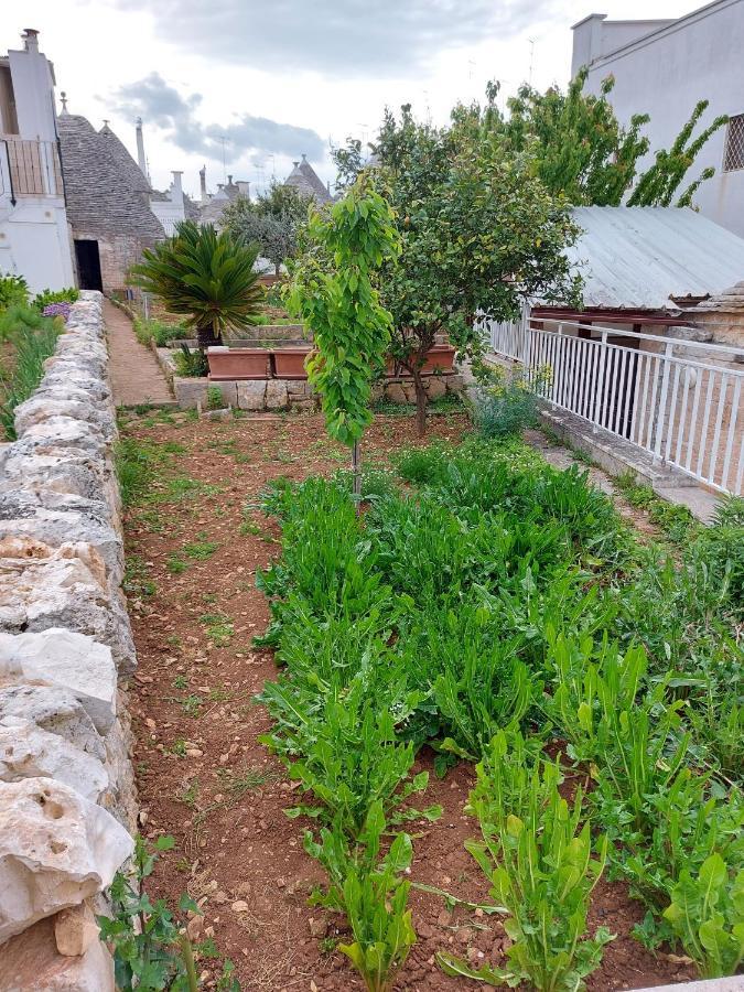 Villa Il Trullo Di Giada E Mattia Alberobello Exterior foto