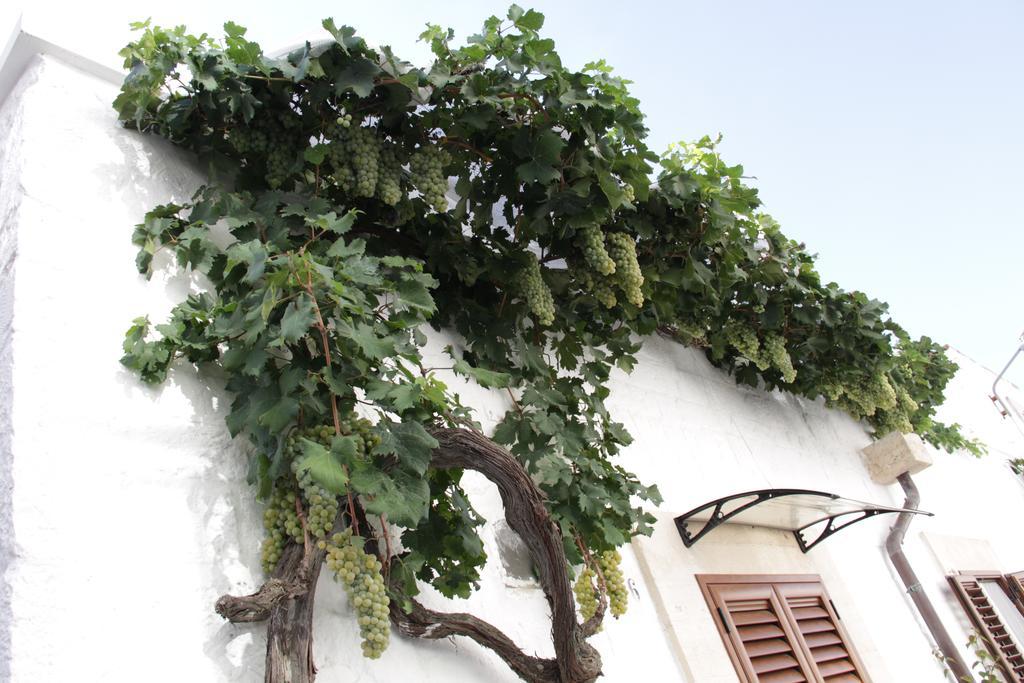 Villa Il Trullo Di Giada E Mattia Alberobello Exterior foto