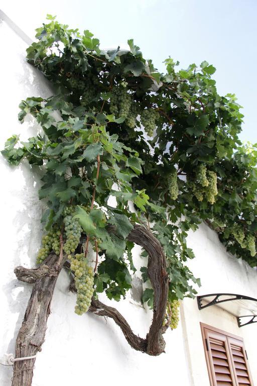 Villa Il Trullo Di Giada E Mattia Alberobello Exterior foto