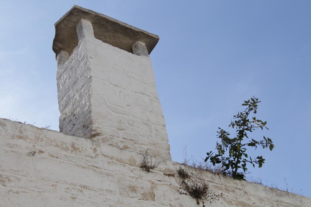 Villa Il Trullo Di Giada E Mattia Alberobello Exterior foto